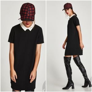 NEW black dress with white collar